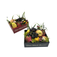 Get Well Soon Fruit Box FBX01